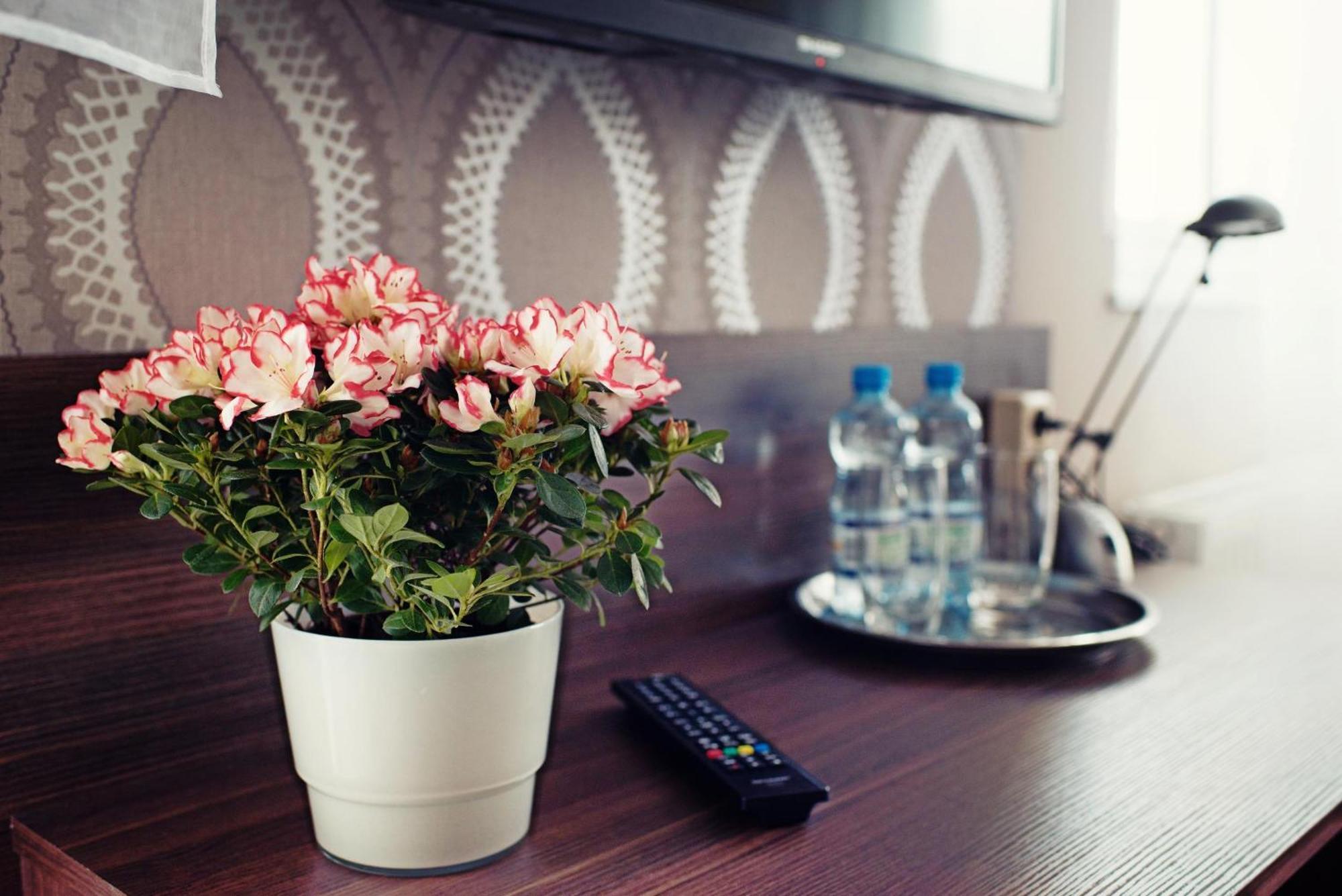 Makara Hotel Katowice Eksteriør billede
